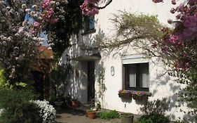 Ferienwohnung Kirschblüte